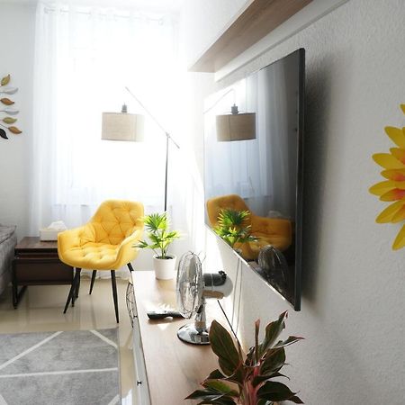 Mein Apartment Flowers Mit Kamin, Bis 10 Personen Frankenthal  Εξωτερικό φωτογραφία